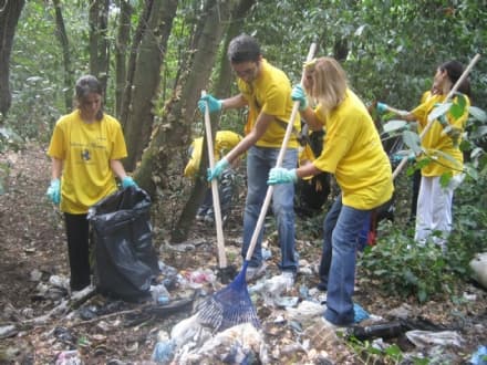 CANAVESE - Armati di ramazza e buona volontà per «Puliamo il Mondo»