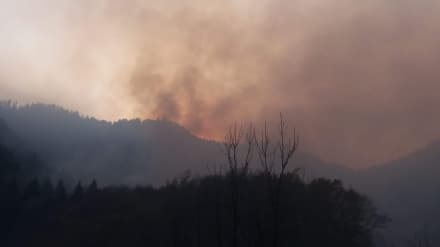 ALLARME INCENDI - Fiamme, fumo e aria irrespirabile: il Canavese nella morsa dei piromani - FOTO