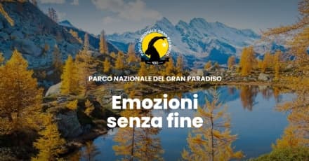 GRAN PARADISO - Parco senza presidente, interviene Novaria