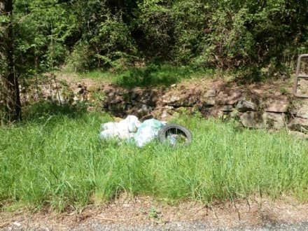 PRASCORSANO - «Tagga il maiale»: discariche abusive in aumento