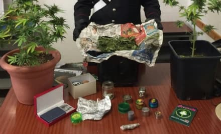 FAVRIA - Coltiva marijuana in casa: sedicenne denunciato dai carabinieri di Rivarolo - FOTO