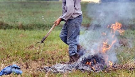 CANAVESE - Sulla legge abbruciamenti agricoli Legambiente dice No