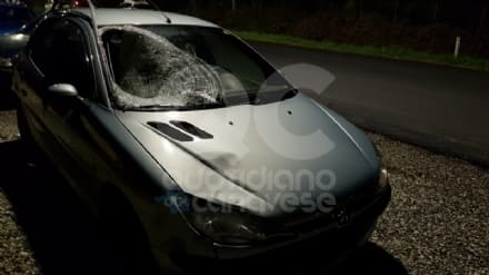 BUSANO - Incidente mortale: 40enne di Forno Canavese denunciato per omicidio stradale