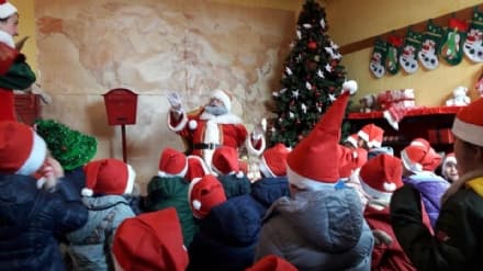 IL NATALE PRENDE VITA IN CANAVESE - Sulle colline di Castellamonte la magia del Fiabosco - VIDEO