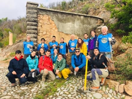 VALPERGA - 500 nuovi alberi nel parco di Belmonte distrutto dall'incendio - FOTO