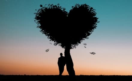 PSICOLOGIA – Honjok, una vita da solisti