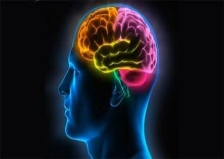 Il cervello bugiardo