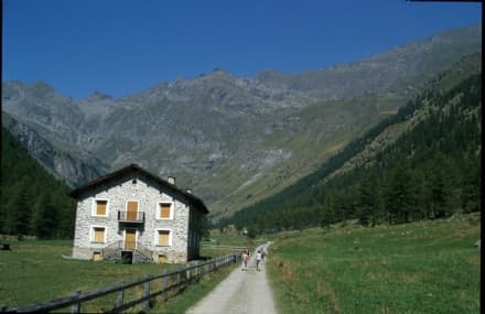 VALLE SOANA - Parte il concorso fotografico su porte e portali