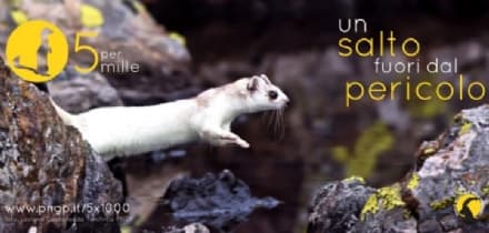 PARCO GRAN PARADISO - Il 5 per mille in aiuto alla ricerca scientifica del Parco