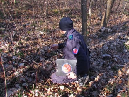 VALCHIUSELLA - Bracconieri nei boschi e trappole per gli animali: scuoiato vivo un capriolo - FOTO