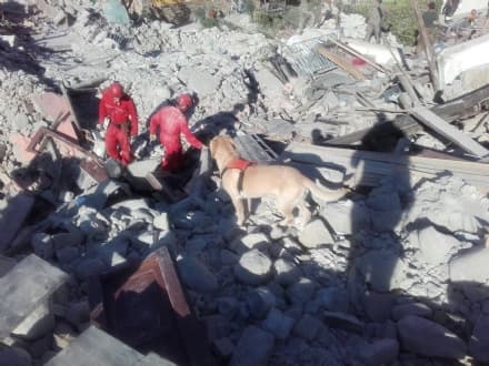 TERREMOTO CENTRO ITALIA - A Cuorgnè un punto di raccolta per le donazioni