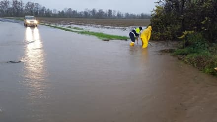 CANAVESE - Maltempo, per Coldiretti danni enormi all'agricoltura