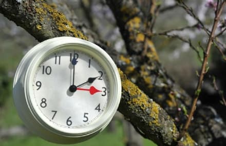 Torna l'ora legale: questa notte notte si cambia, lancette avanti