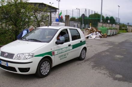 AGLIE' - Idiota butta un gatto nel cassonetto ma il micio sopravvive