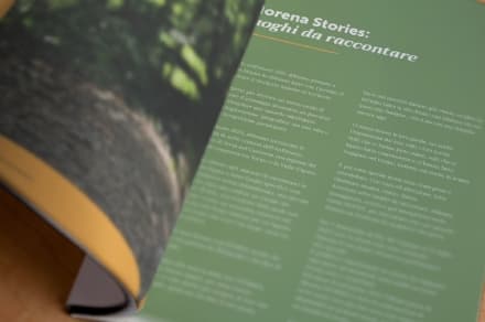 CANAVESE - Il nostro territorio raccontato dagli abitanti: ecco il progetto «Morena Stories - Il Libro» - FOTO