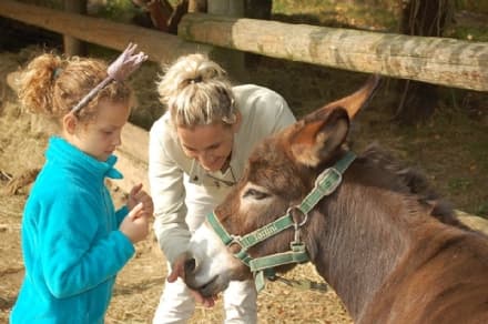 CANAVESE - Asinelli e bocce per mantenere vive le tradizioni