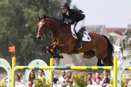 VESTIGNE' - Ragazza cade da cavallo: grave al Cto