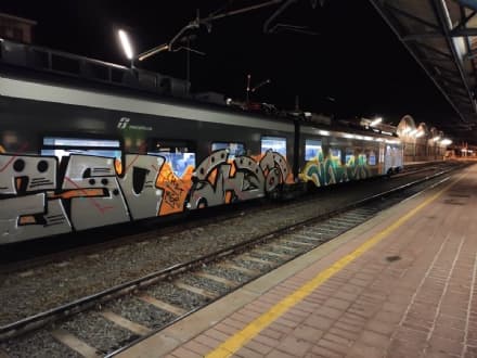 RIVAROLO CANAVESE - Treno vandalizzato riportato in officina. Fava: «Non ci sono parole per descrivere simili imbecilli»