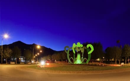 CASTELLAMONTE - La tofeja verde per la Giornata delle Malattie Rare