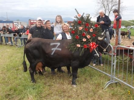 OZEGNA - Successo senza intoppi per le Reines - FOTO