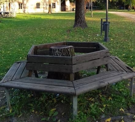 RIVAROLO - Alberi abbattuti in centro, Riparolium presenta una diffida contro il Comune