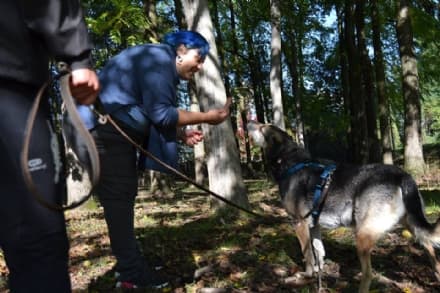 SAN PONSO - Apre un nuovo centro per l'addestramento dei cani