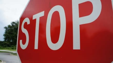 RIVAROLO CANAVESE - Stop richieste d'aiuto: troppi gatti e poca collaborazione, Le Vibrisse alzano bandiera bianca