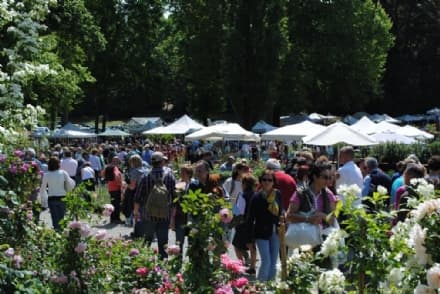 CARAVINO - Al castello di Masino torna tre giorni per il giardino