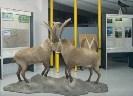 PARCO GRAN PARADISO - Aperture invernali centri visitatori del Parco