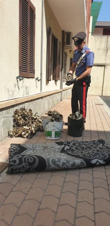 LEINI - Tentano un furto in un'azienda chiusa per ferie, ma vengono arrestati