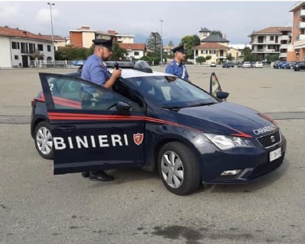 CANDIA CANAVESE - Padre e figli di 19 e 25 anni coltivano marijuana: denunciati dai carabinieri