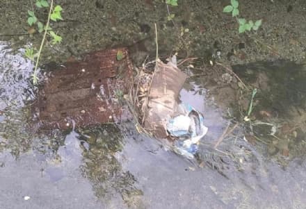 RIVAROLO CANAVESE - La roggia tra Pasquaro e Argentera trasformata in discarica a cielo aperto - FOTO