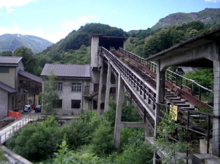 ELEZIONI - Un quasi plebiscito per Renza Colombatto