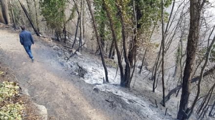 DISASTRO A BELMONTE - L'incendio ha devastato la riserva naturale del Sacro Monte - FOTO e VIDEO