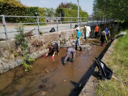 CASTELLAMONTE - Volontari a «caccia» di rifiuti: ripulita la Roggia dei Mulini - FOTO