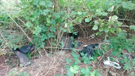 BAIRO - Scatta #TaggailMaiale: sabato giornata ecologica