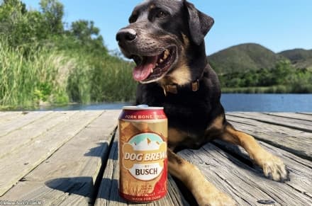 PET - Arriva la birra per i cani