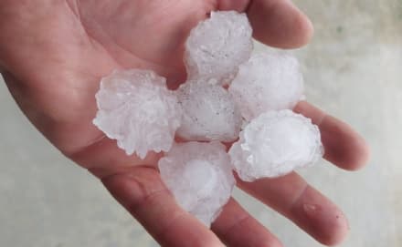 CALUSO - Violenta grandinata devasta campi e orti: chicchi di ghiaccio grandi come noci - FOTO