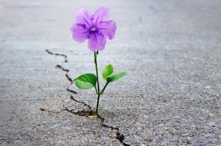 SOCIETA' - Paure e speranze per il 2022