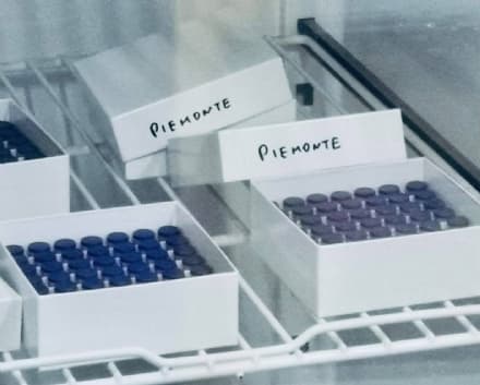 COVID - Primo giorno di vaccini, Cirio: «Una giornata storica perché abbiamo un'arma in più»