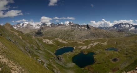 PARCO GRAN PARADISO - Foto sugli ecosistemi montani cercasi