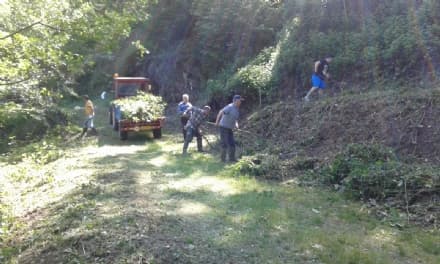 PRASCORSANO - Così i volontari hanno recuperato un'area verde - FOTO