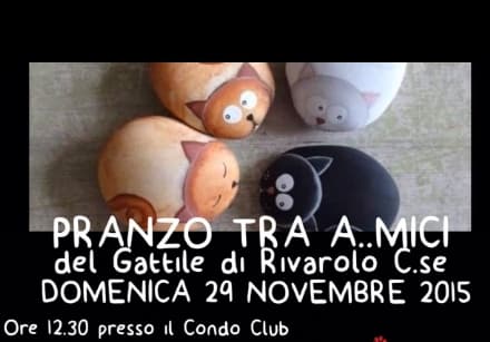 RIVAROLO - Un pranzo benefico per il gattile