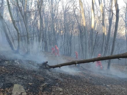PRATIGLIONE - Un altro incendio boschivo è divampato nel tardo pomeriggio: è caccia al piromane