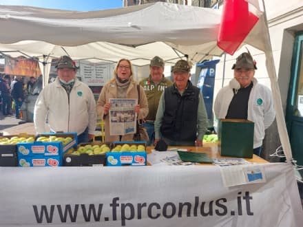 CUORGNE' - Mele della salute: gli Alpini raccolgono fondi per Candiolo