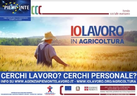 LAVORO - 8000 aziende agricole cercano personale. L'assessore regionale: «Priorità agli italiani»