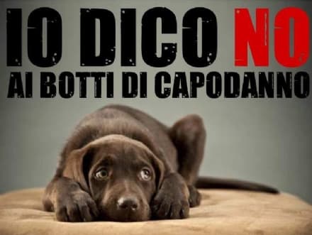 RIVAROLO CANAVESE - Botti di capodanno: scatta il divieto fino al 2 gennaio