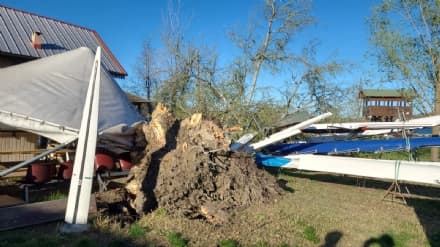 CANDIA CANAVESE - Albero crolla sulla sede dei canottieri: distrutte tredici imbarcazioni - FOTO
