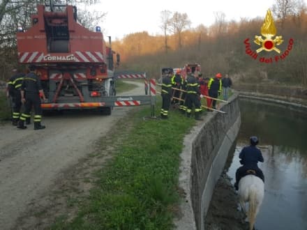 VILLAREGGIA - Cavallo bloccato nel canale, salvato dai vigili del fuoco - FOTO e VIDEO