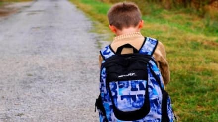 REGIONE PIEMONTE - Approvata «Allontanamento zero»